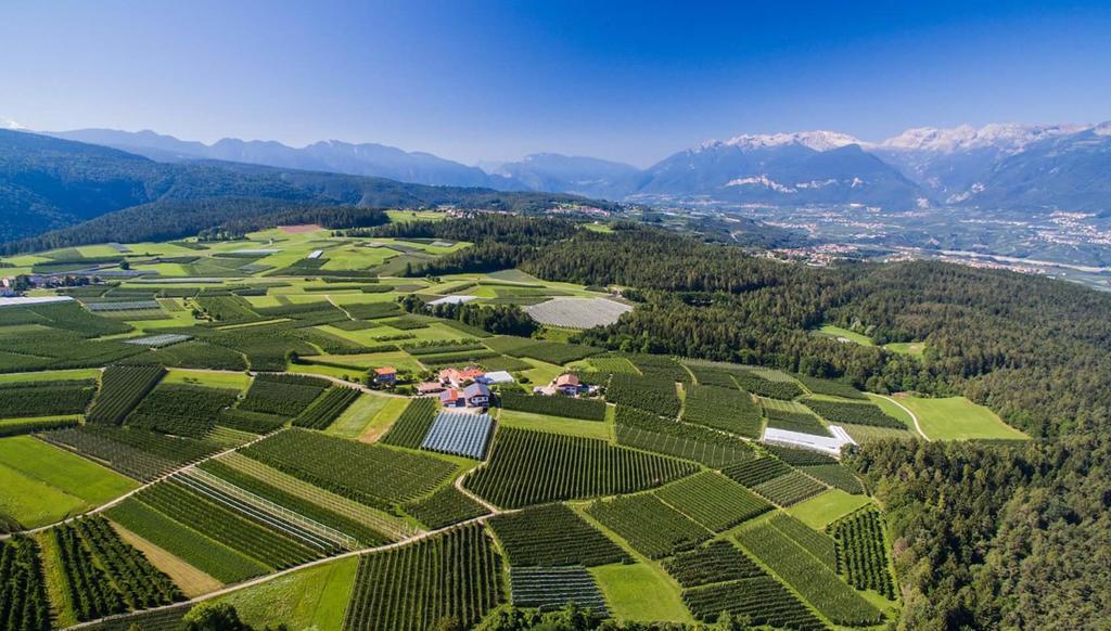 Вилла Agritur Maso San Bartolomeo Romeno Экстерьер фото
