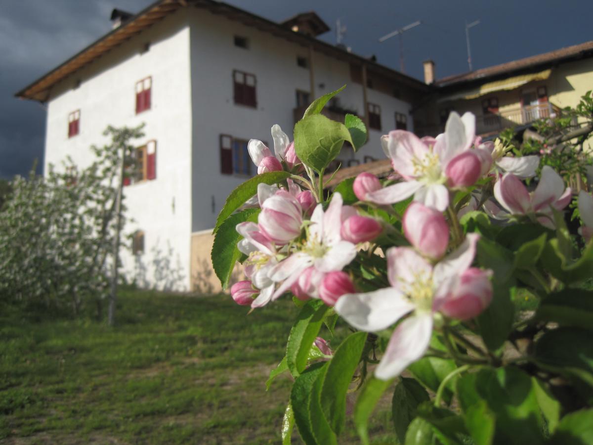 Вилла Agritur Maso San Bartolomeo Romeno Экстерьер фото